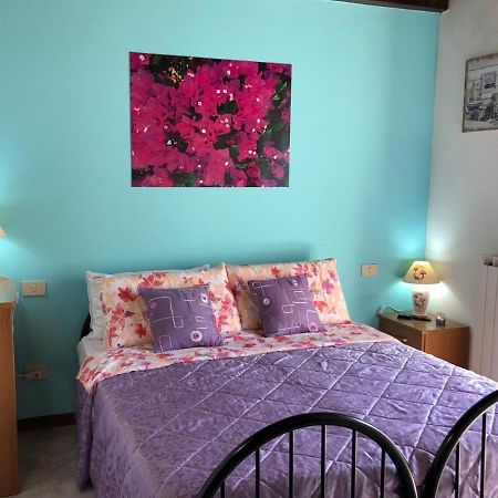 Oasi Di Paradiso - Comfy Private Apartment On Ground Floor With Terrace Desenzano del Garda Exterior foto