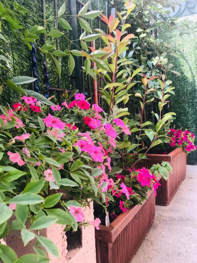 Oasi Di Paradiso - Comfy Private Apartment On Ground Floor With Terrace Desenzano del Garda Exterior foto